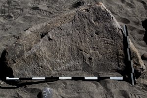 Piedra: 1427, Cara decorada: II