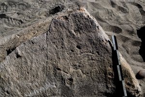 Piedra: 1427, Cara decorada: II
