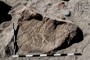 Piedra: 1427, Cara decorada: I