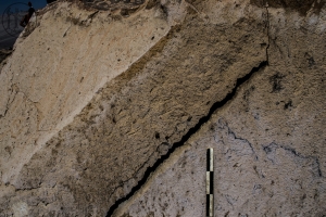 Piedra: 1432, Cara decorada: IV