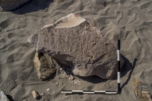 Piedra: 1433, Cara decorada: I