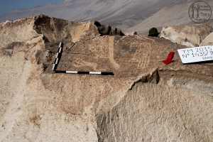 Piedra: 1435, Cara decorada: III