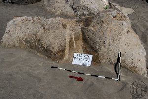 Piedra: 1437, Cara decorada: I