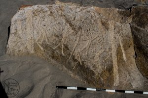 Piedra: 1437, Cara decorada: I