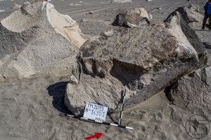 Piedra: 1439, Cara decorada: I