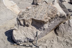 Piedra: 1439, Cara decorada: I