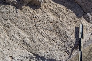 Piedra: 1439, Cara decorada: I