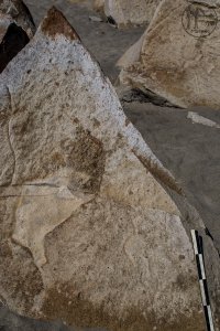 Piedra: 1440, Cara decorada: II