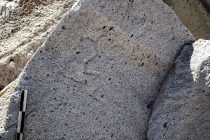 Piedra: 1440, Cara decorada: I