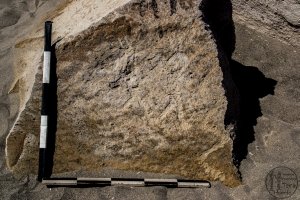 Piedra: 1441, Cara decorada: II
