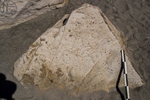 Piedra: 1441, Cara decorada: I