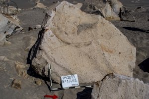 Piedra: 1443, Cara decorada: II