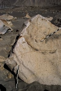 Piedra: 1443, Cara decorada: II
