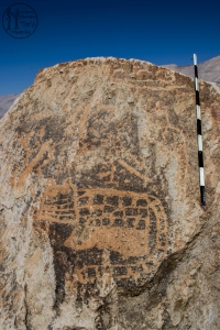 Piedra: 1445, Cara decorada: III