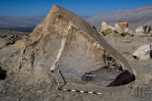 Piedra: 1445, Cara decorada: II