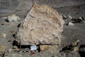 Piedra: 1445, Cara decorada: IV