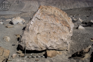 Piedra: 1445, Cara decorada: IV