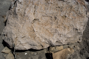 Piedra: 1445, Cara decorada: IV