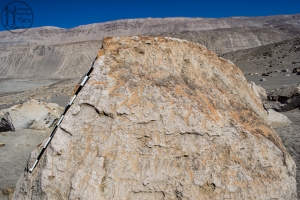 Piedra: 1445, Cara decorada: IV