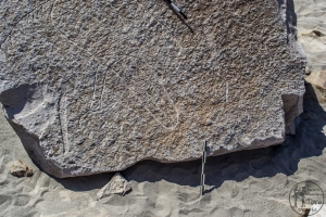 Piedra: 1445, Cara decorada: I