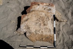 Piedra: 1447, Cara decorada: I