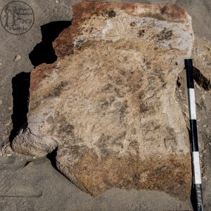 Piedra: 1447, Cara decorada: I