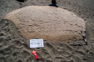 Piedra: 1448, Cara decorada: I