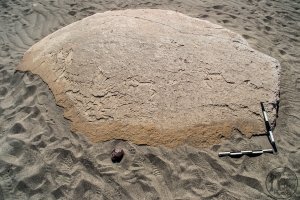 Piedra: 1448, Cara decorada: I
