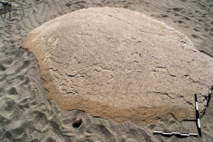 Piedra: 1448, Cara decorada: I