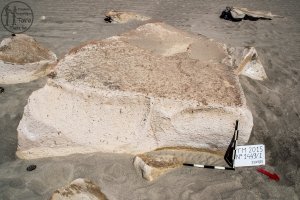 Piedra: 1449, Cara decorada: I