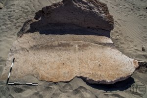 Piedra: 1450, Cara decorada: I