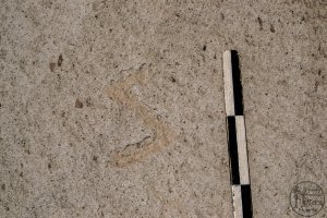 Piedra: 1451, Cara decorada: I