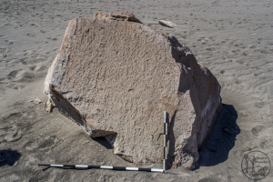 Piedra: 1453, Cara decorada: I