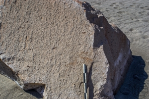 Piedra: 1453, Cara decorada: I