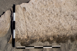 Piedra: 1454, Cara decorada: I