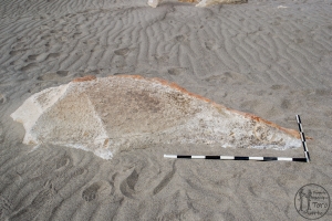 Piedra: 1464, Cara decorada: I