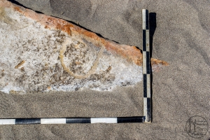 Piedra: 1464, Cara decorada: I