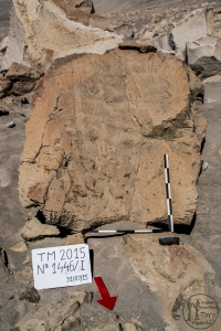 Piedra: 1466, Cara decorada: I