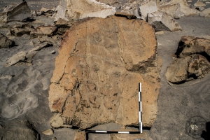 Piedra: 1466, Cara decorada: I