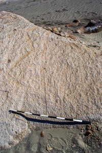 Piedra: 1466, Cara decorada: I