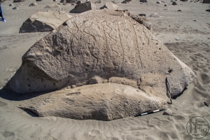 Piedra: 1467, Cara decorada: II