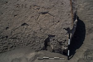 Piedra: 1473, Cara decorada: II