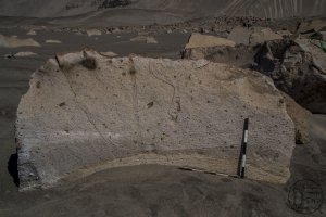 Piedra: 1473, Cara decorada: I
