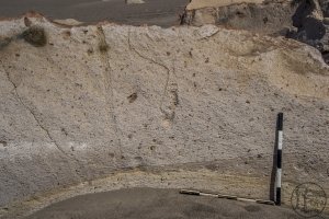 Piedra: 1473, Cara decorada: I