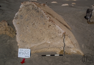 Piedra: 1474, Cara decorada: I
