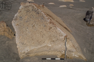 Piedra: 1474, Cara decorada: I