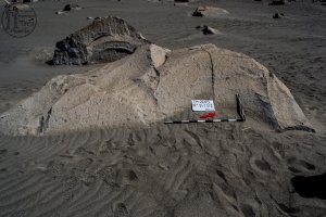 Piedra: 1475, Cara decorada: II