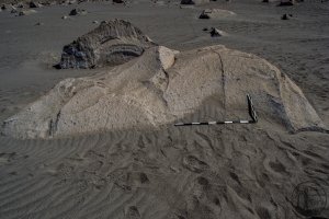 Piedra: 1475, Cara decorada: II