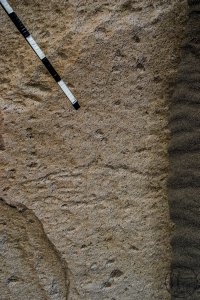 Piedra: 1475, Cara decorada: II