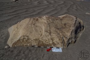 Piedra: 1475, Cara decorada: I